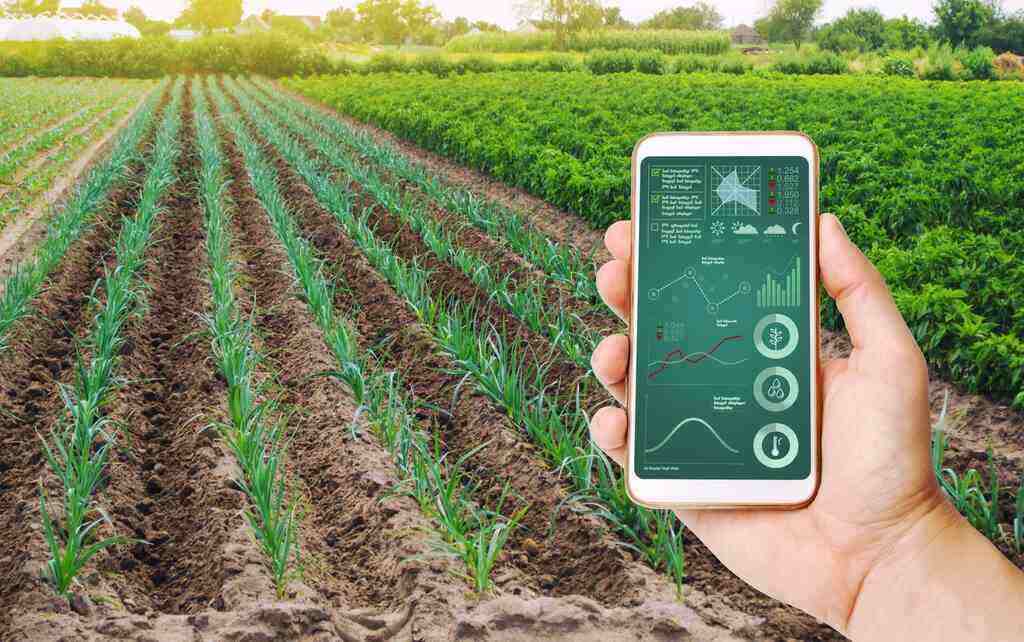 AI in Agriculture Precision Farming