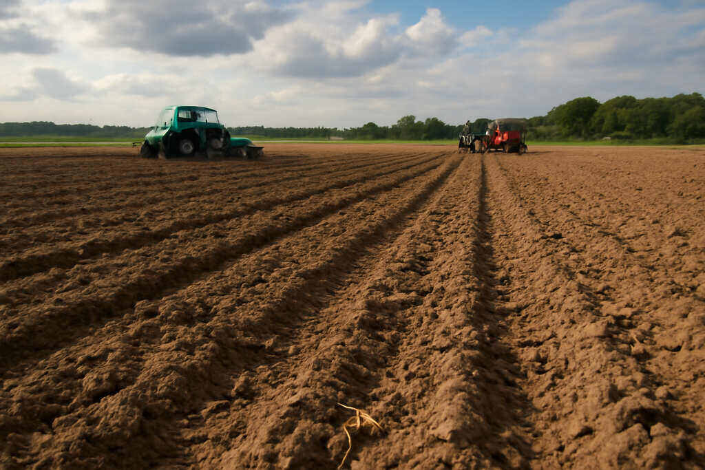 Cost of Implementation