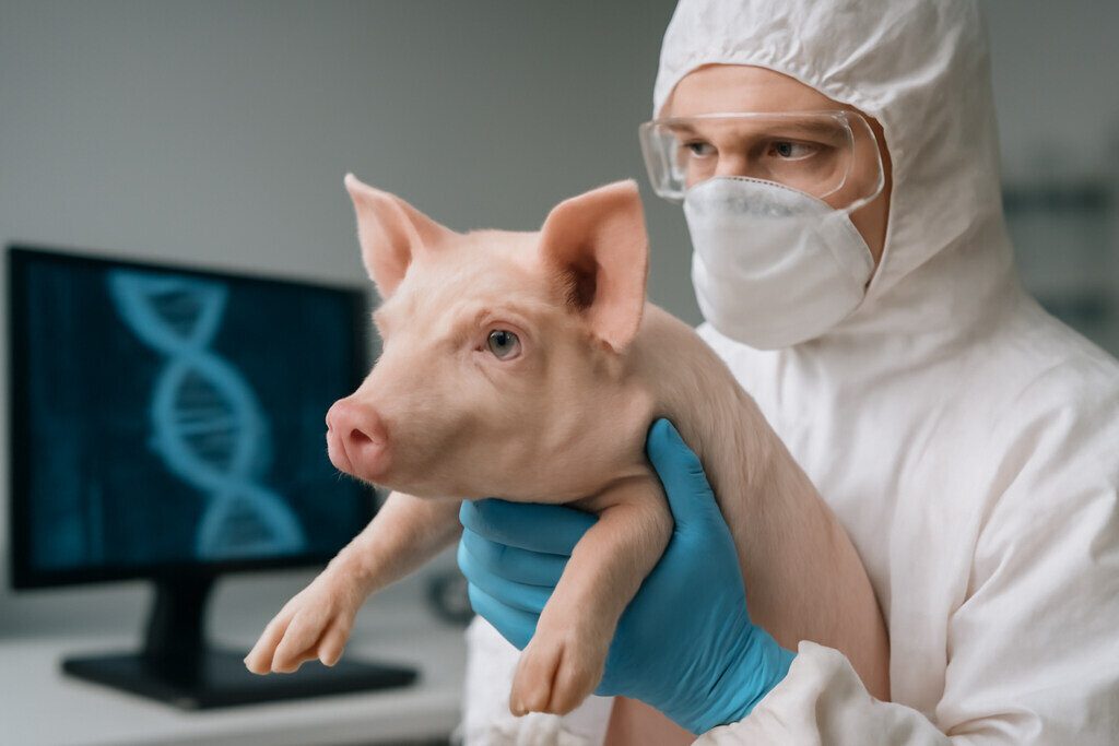 Genetic Modification of Animals