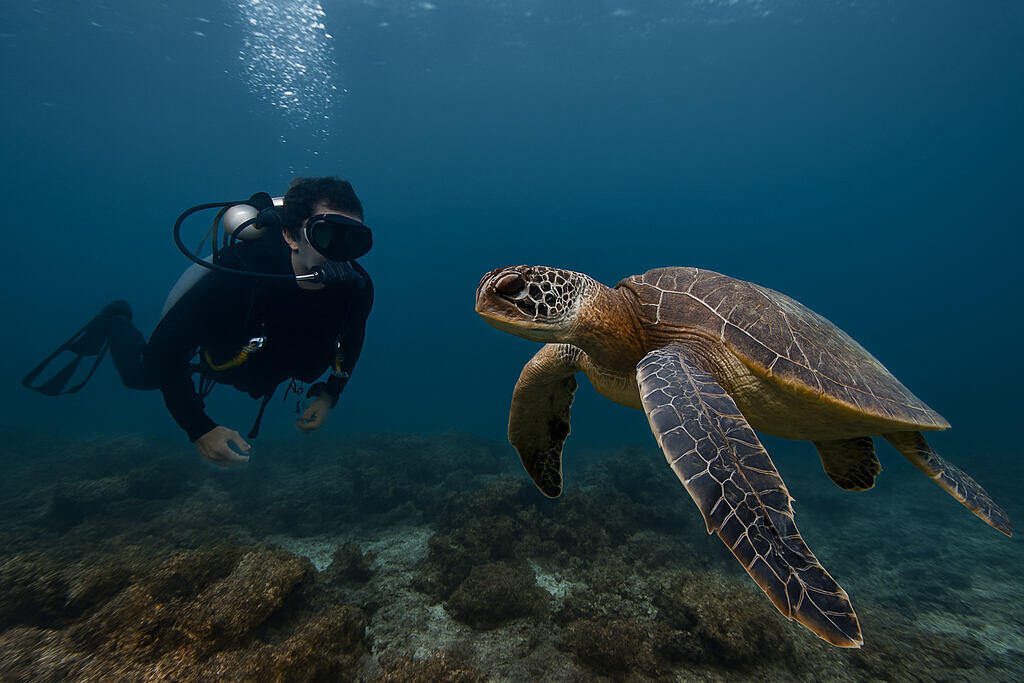 Practical Lessons from Space's Silence