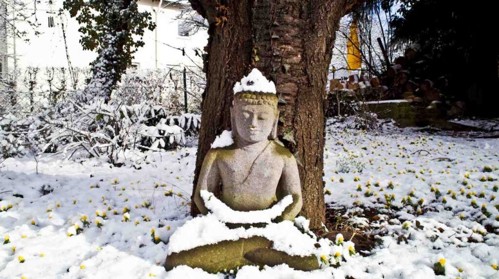 Winter Solstice Meditation Script
